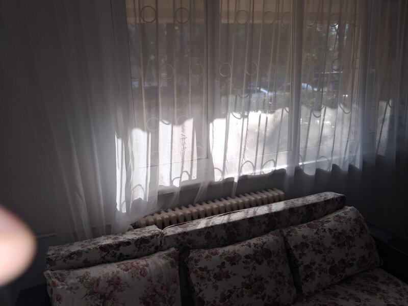 Berceni, Alexandru Obregia