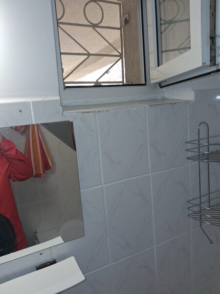 Berceni, Alexandru Obregia